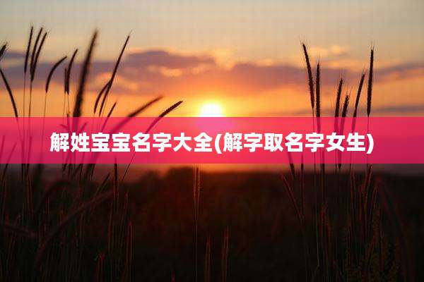 解姓宝宝名字大全(解字取名字女生)