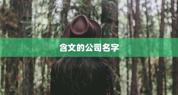 含文的公司名字