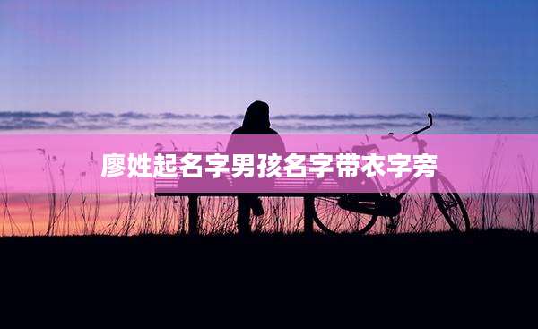 廖姓起名字男孩名字带衣字旁