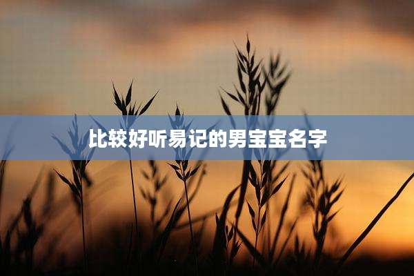 比较好听易记的男宝宝名字