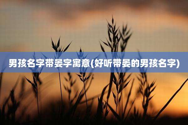 男孩名字带晏字寓意(好听带晏的男孩名字)