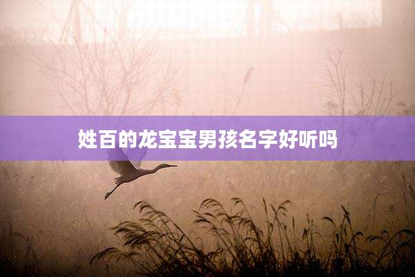 姓百的龙宝宝男孩名字好听吗