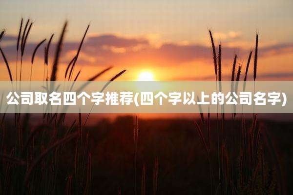 公司取名四个字推荐(四个字以上的公司名字)