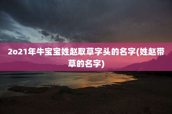 2o21年牛宝宝姓赵取草字头的名字(姓赵带草的名字)