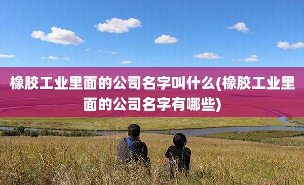 橡胶工业里面的公司名字叫什么(橡胶工业里面的公司名字有哪些)