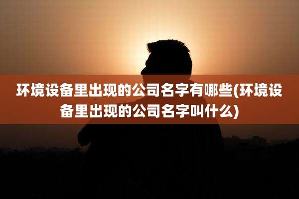 环境设备里出现的公司名字有哪些(环境设备里出现的公司名字叫什么)