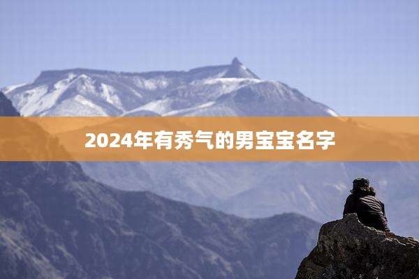 2024年有秀气的男宝宝名字