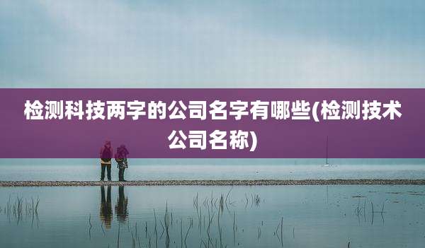 检测科技两字的公司名字有哪些(检测技术公司名称)
