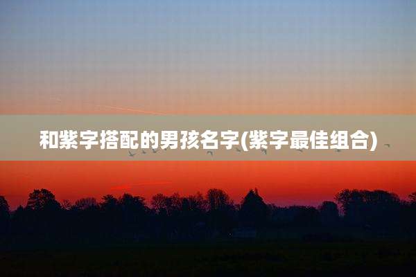 和紫字搭配的男孩名字(紫字最佳组合)