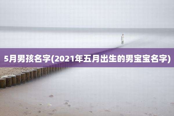 5月男孩名字(2021年五月出生的男宝宝名字)