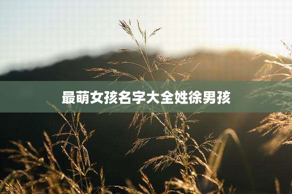 最萌女孩名字大全姓徐男孩