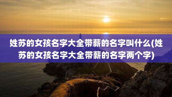 姓苏的女孩名字大全带薪的名字叫什么(姓苏的女孩名字大全带薪的名字两个字)