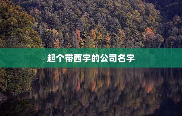 起个带西字的公司名字