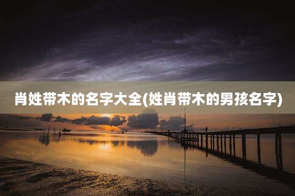 肖姓带木的名字大全(姓肖带木的男孩名字)