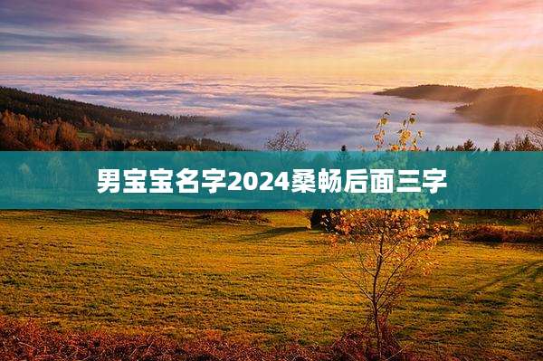 男宝宝名字2024桑畅后面三字