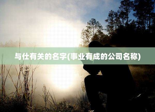 与仕有关的名字(事业有成的公司名称)
