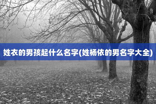 姓衣的男孩起什么名字(姓杨依的男名字大全)