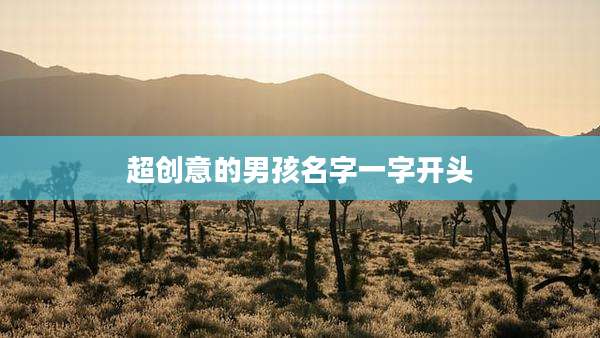超创意的男孩名字一字开头