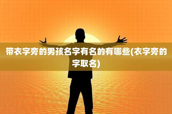 带衣字旁的男孩名字有名的有哪些(衣字旁的字取名)