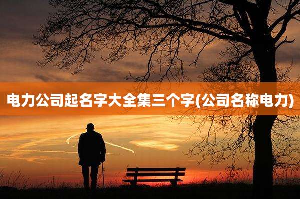 电力公司起名字大全集三个字(公司名称电力)