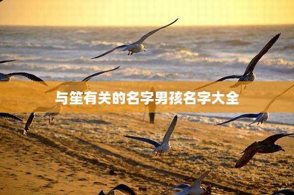 与笙有关的名字男孩名字大全