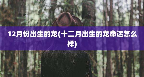 12月份出生的龙(十二月出生的龙命运怎么样)
