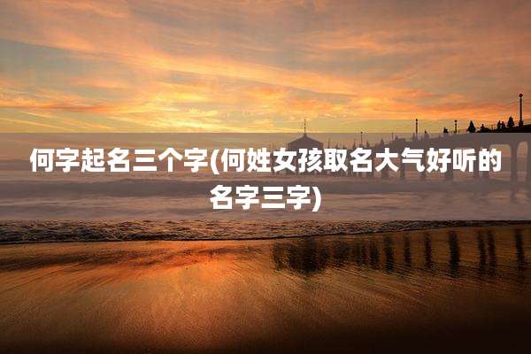 何字起名三个字(何姓女孩取名大气好听的名字三字)