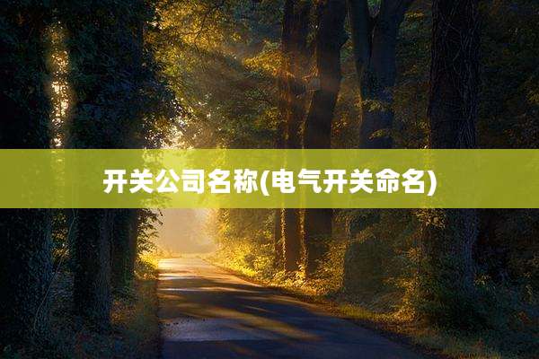 开关公司名称(电气开关命名)