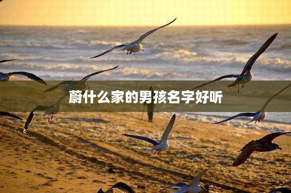 蔚什么家的男孩名字好听