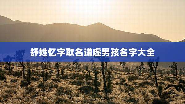 舒姓忆字取名谦虚男孩名字大全