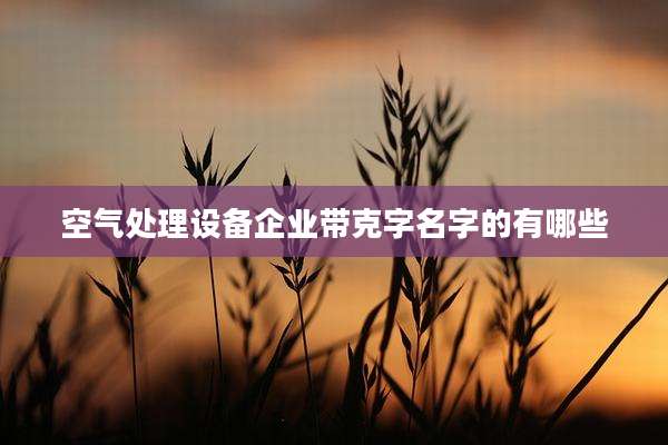 空气处理设备企业带克字名字的有哪些