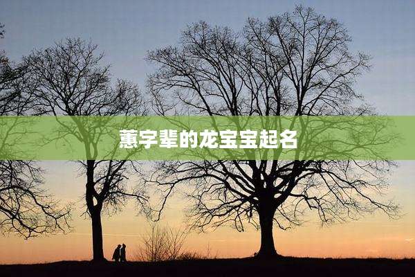 蕙字辈的龙宝宝起名