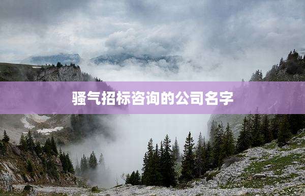 骚气招标咨询的公司名字