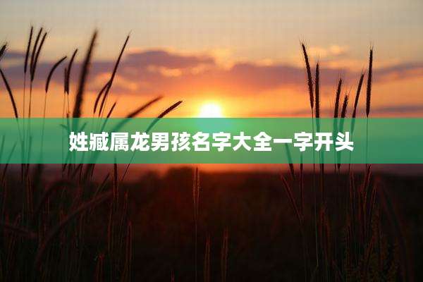 姓臧属龙男孩名字大全一字开头