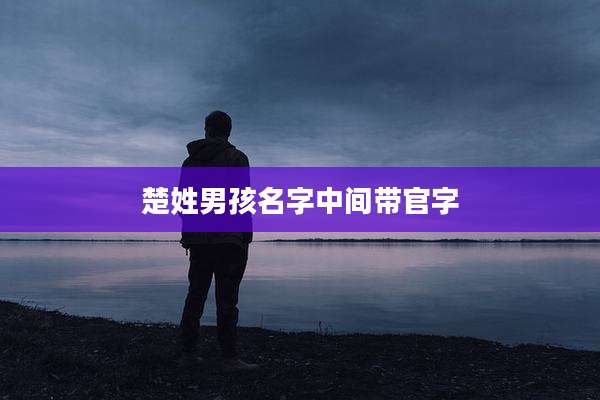 楚姓男孩名字中间带官字