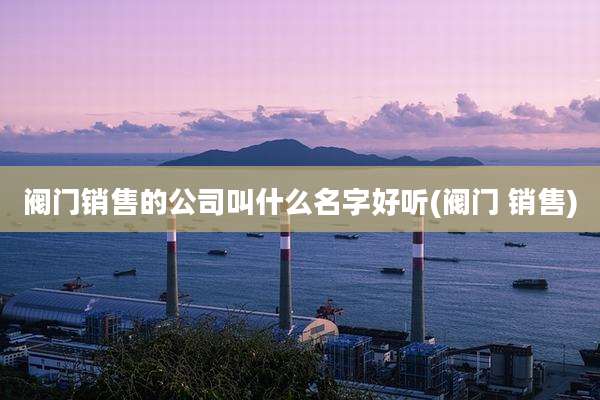 阀门销售的公司叫什么名字好听(阀门 销售)