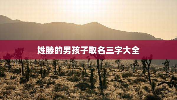 姓滕的男孩子取名三字大全