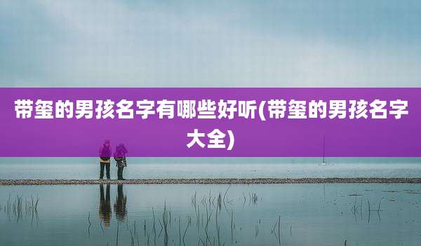 带玺的男孩名字有哪些好听(带玺的男孩名字大全)