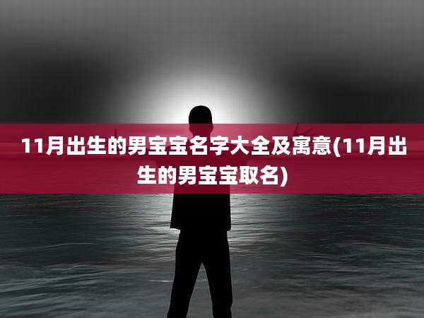 11月出生的男宝宝名字大全及寓意(11月出生的男宝宝取名)