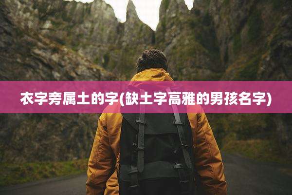 衣字旁属土的字(缺土字高雅的男孩名字)