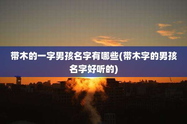 带木的一字男孩名字有哪些(带木字的男孩名字好听的)