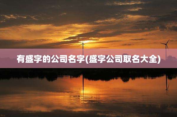 有盛字的公司名字(盛字公司取名大全)
