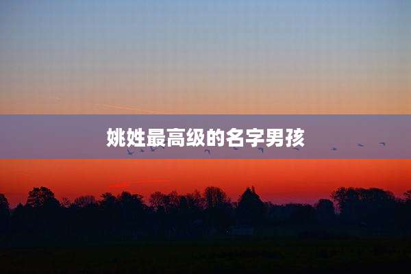 姚姓最高级的名字男孩