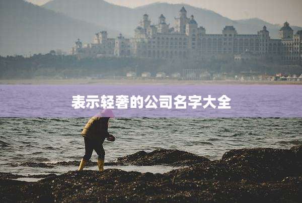 表示轻奢的公司名字大全