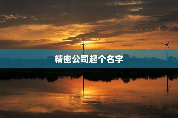精密公司起个名字