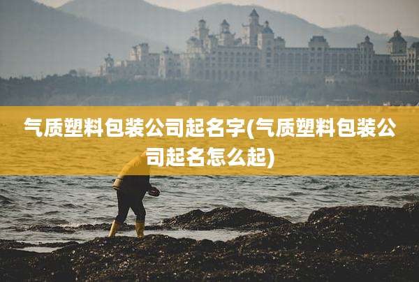 气质塑料包装公司起名字(气质塑料包装公司起名怎么起)