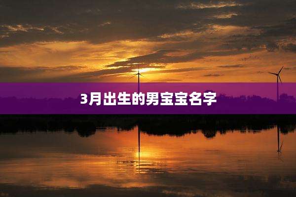 3月出生的男宝宝名字