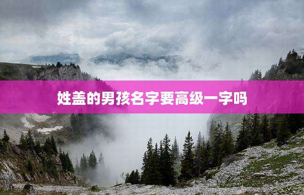 姓盖的男孩名字要高级一字吗