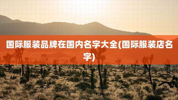国际服装品牌在国内名字大全(国际服装店名字)