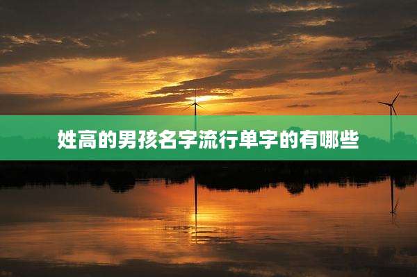 姓高的男孩名字流行单字的有哪些